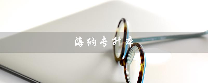 海纳专升本（海纳专升本官网是什么）
