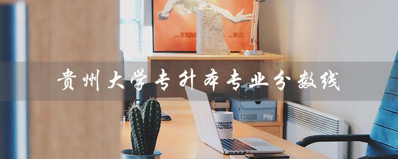 贵州大学专升本专业分数线（贵州大学专升本官网是什么）