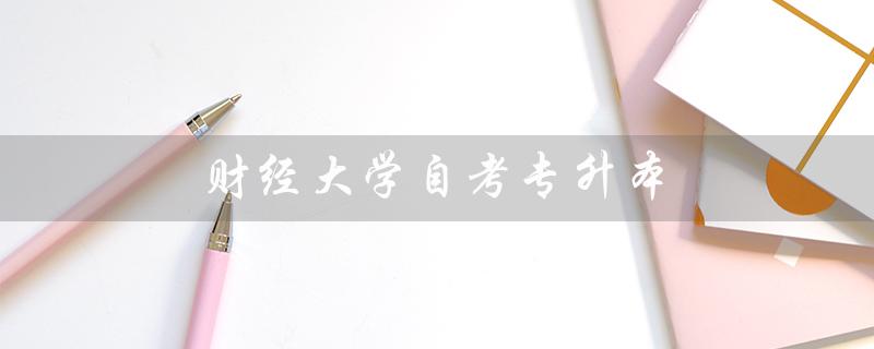 财经大学自考专升本（山东财经大学自考专升本是什么）