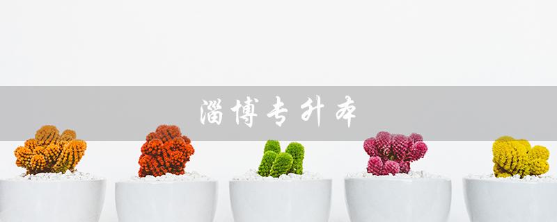 淄博专升本（2023淄博专升本考点在哪）